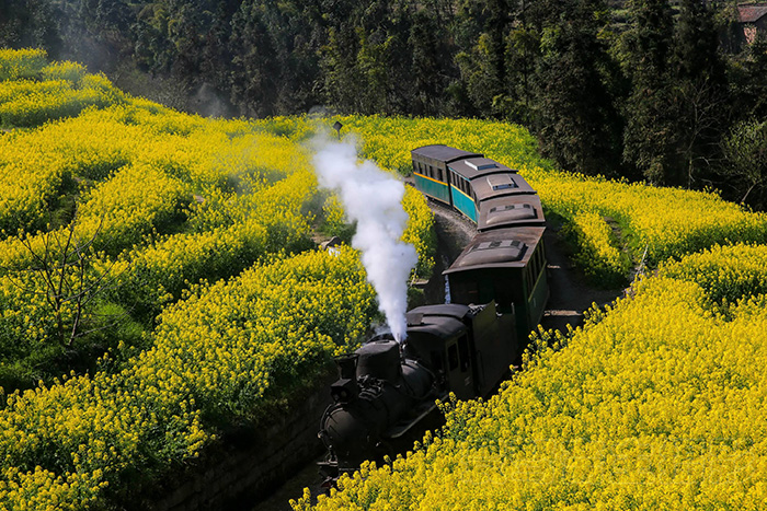 规划绿色特色小镇：可持续旅游的设计原则