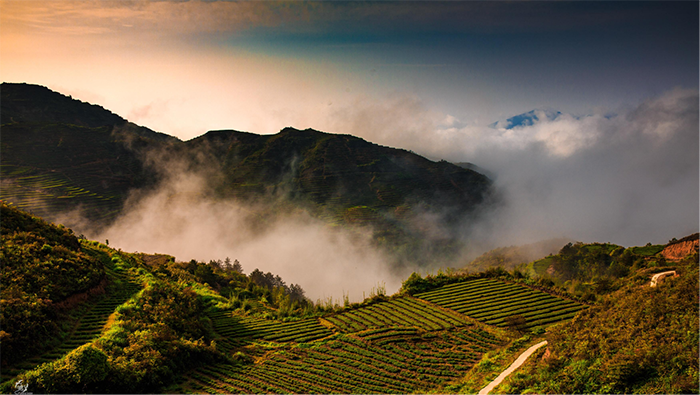 温泉酒店度假村设计方案:满足不同客户需求 温泉酒店度假村设计方案:满足不同客户需求