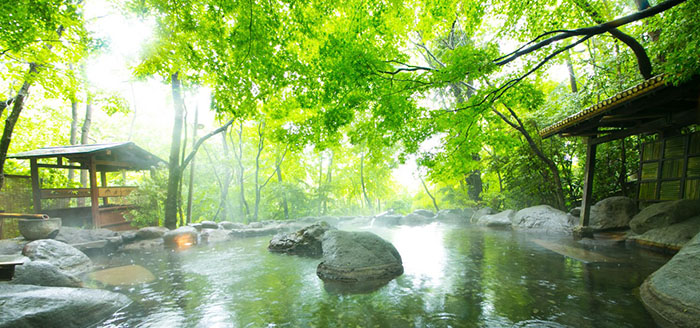 温泉设计案例：重庆市温泉旅游产业总体策划