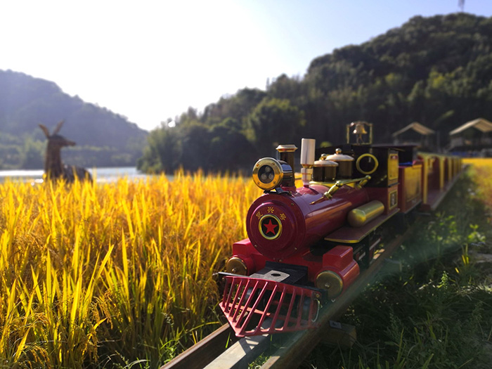 1709617053734110.jpg xc-242.jpg