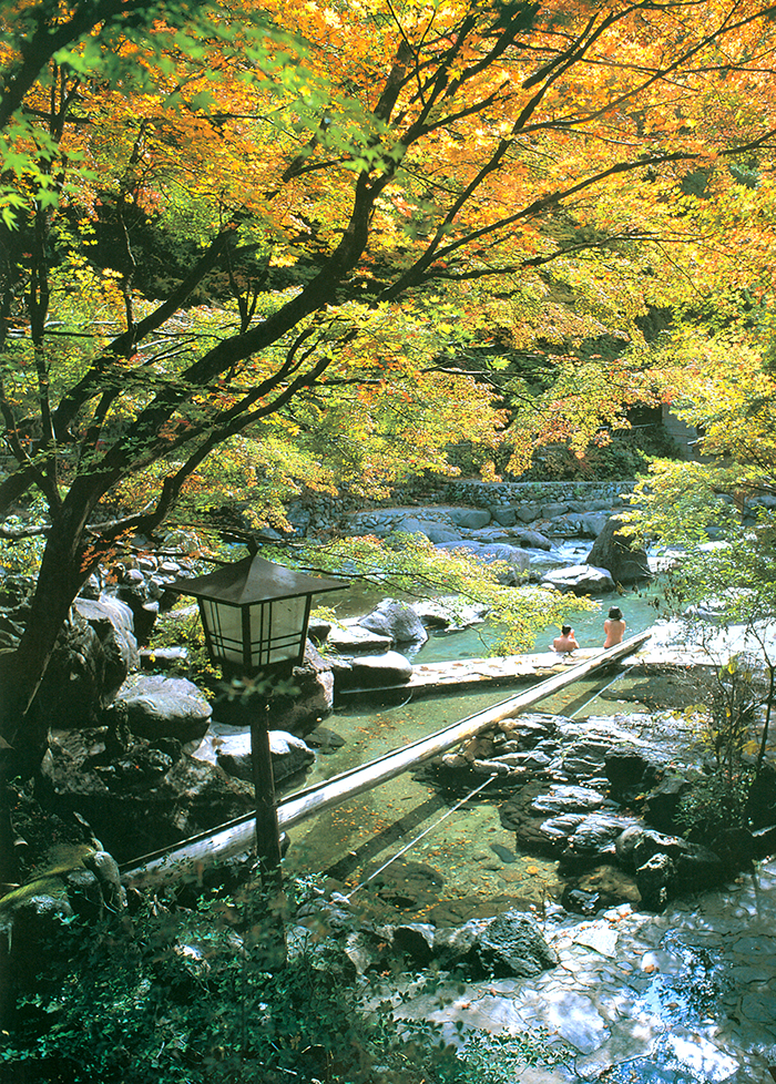 哪些设计理念能最大化旅游小镇的文化魅力？