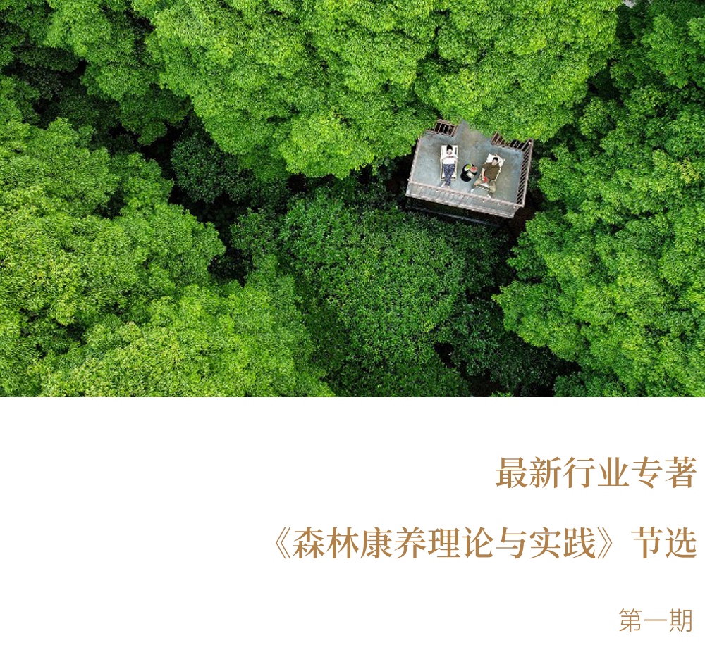 森林康养最新著作——《森林康养理论与实践》