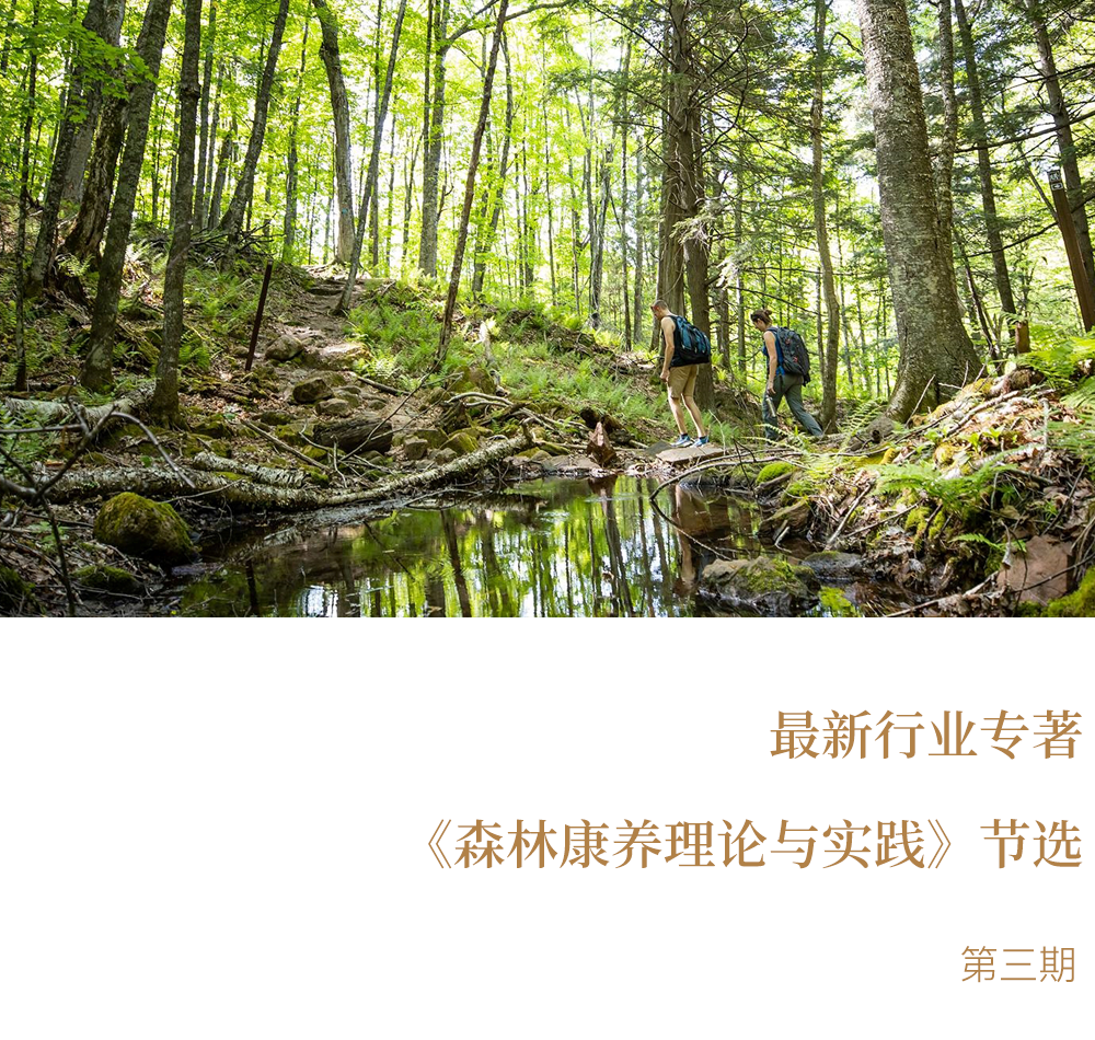 微信图片_20240815153138.png