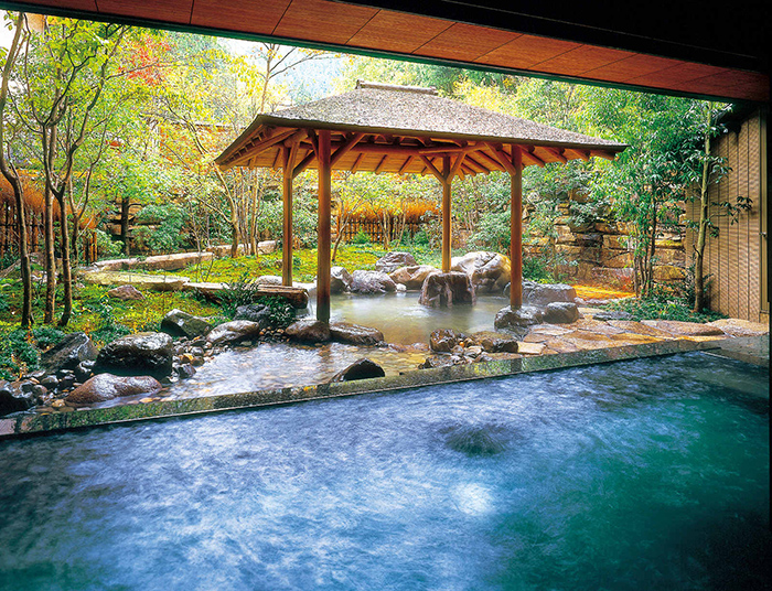 哪些设计细节能显著增强温泉度假村的客户回访意愿？