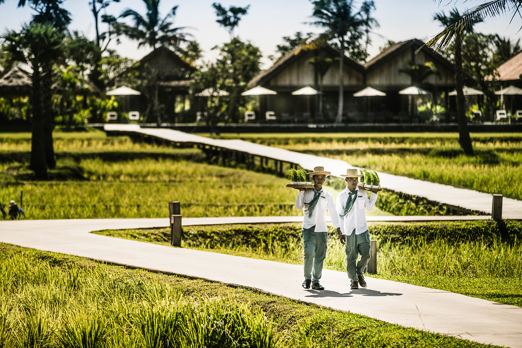Phum-Baitang (1).jpg