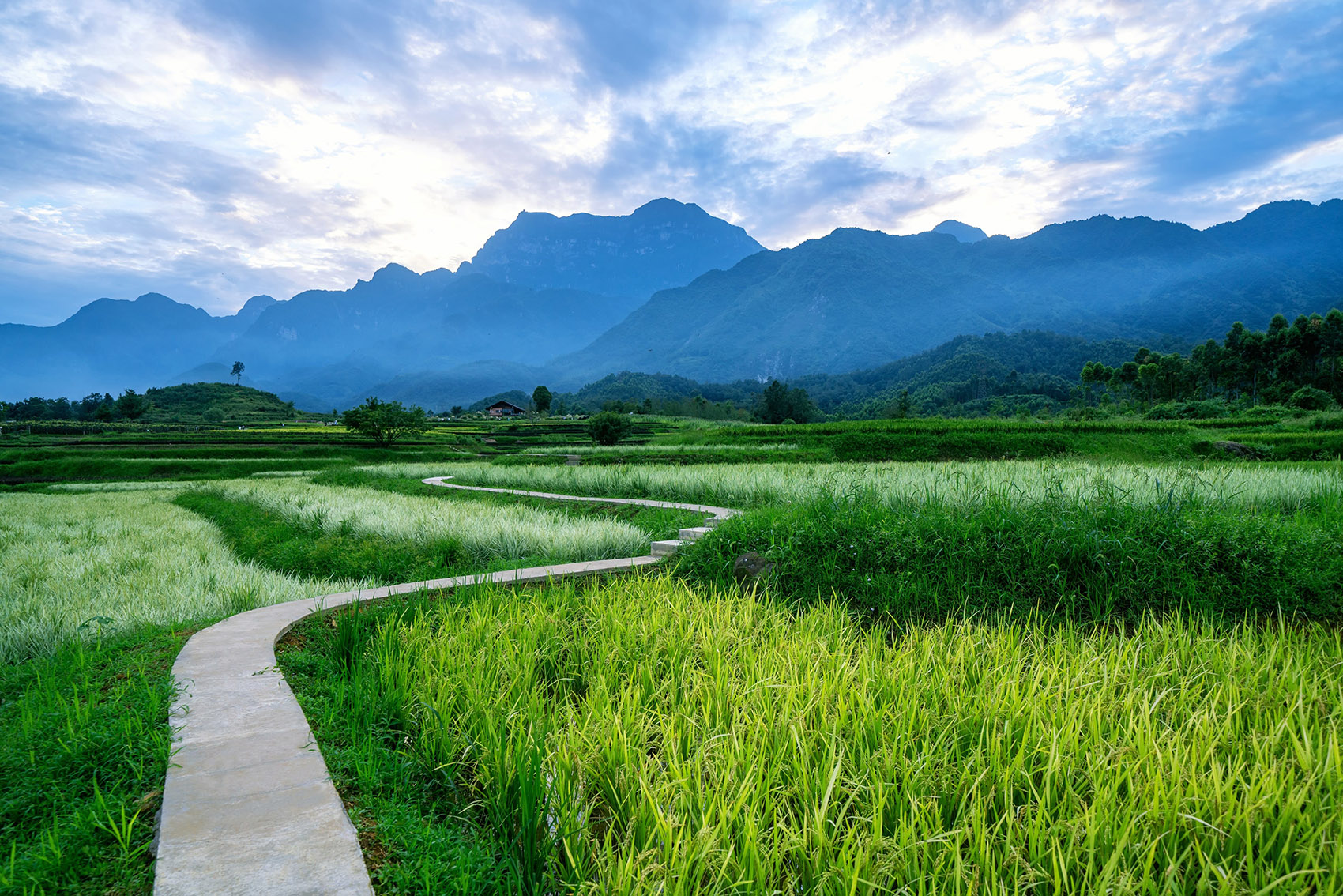020-Gaoqiao-Town-Emei-China-by-sichuan-LEDA-Landscape-Design-Co-Ltd.jpg